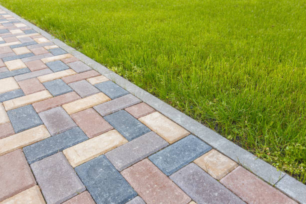 Best Driveway Paving Contractor  in Avon Park, FL